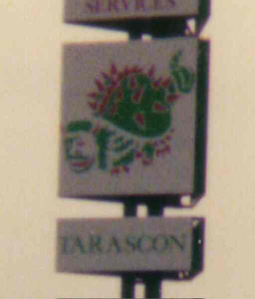 Low quality picture - man-headed ankylosaur picture - the original Tarrasque!